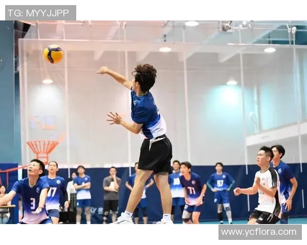 上海排球队逆袭之路洲际杯特别报道展现拼搏精神与团队力量