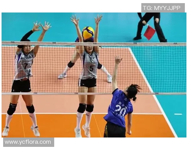 成都排球队的速度之美与技术探秘，展现排球运动的魅力与激情