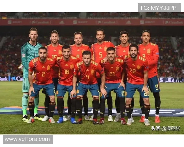 南京足球队实力强劲荣登全国足球实力排行榜第八位