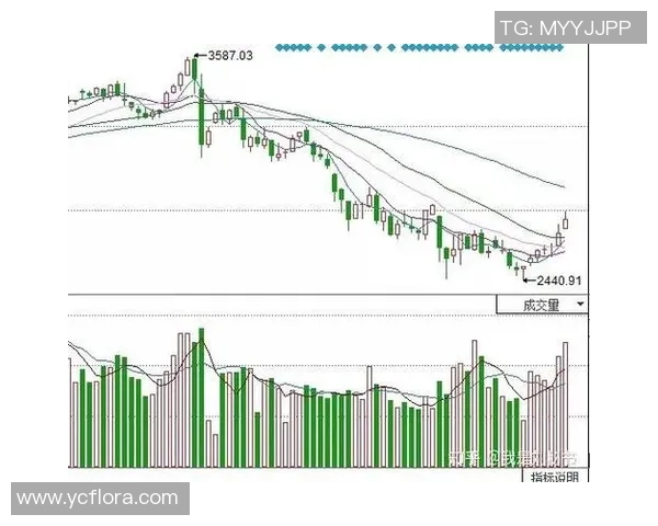 广州与重庆排球队赛后技术分析与战术复盘探讨