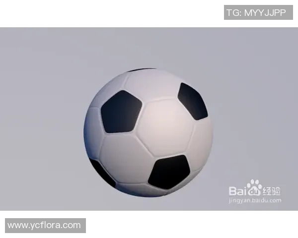 打造属于你的足球明星积木模型详细图纸与制作教程分享 打造属于你的足球明星积木模型详细图纸与制作教程分享