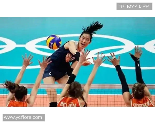 深圳排球队逆袭之路揭秘：从低谷到巅峰的奋斗故事与荣耀时刻